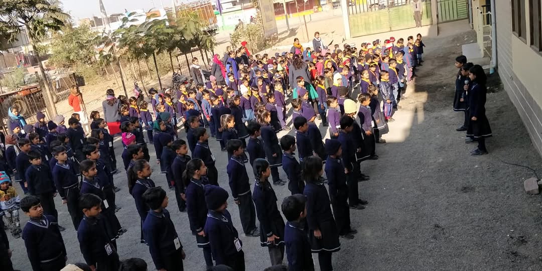 our school gallery (10)