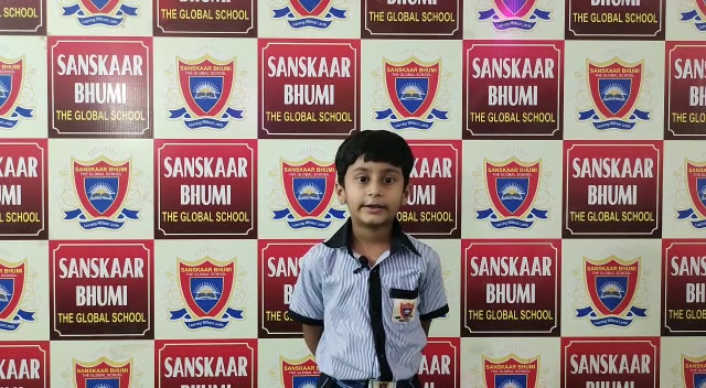 our school gallery (35)