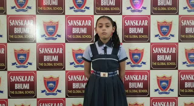 our school gallery (36)