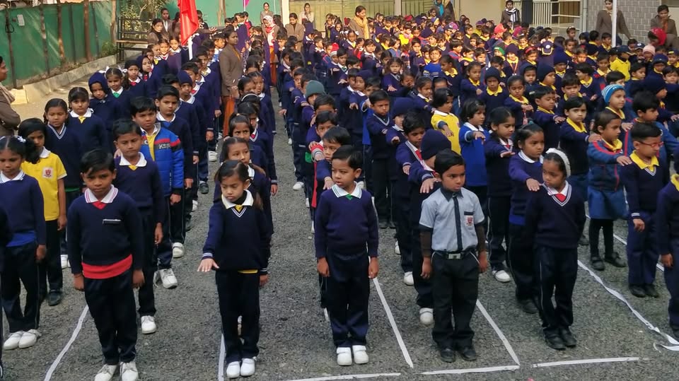 our school gallery (38)